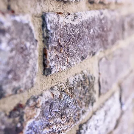 Ca Biennale, Respirare La Autentica! 公寓